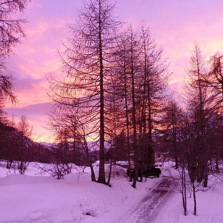 Chalet Miel De La Cayolle-Estenc Entraunes Dış mekan fotoğraf