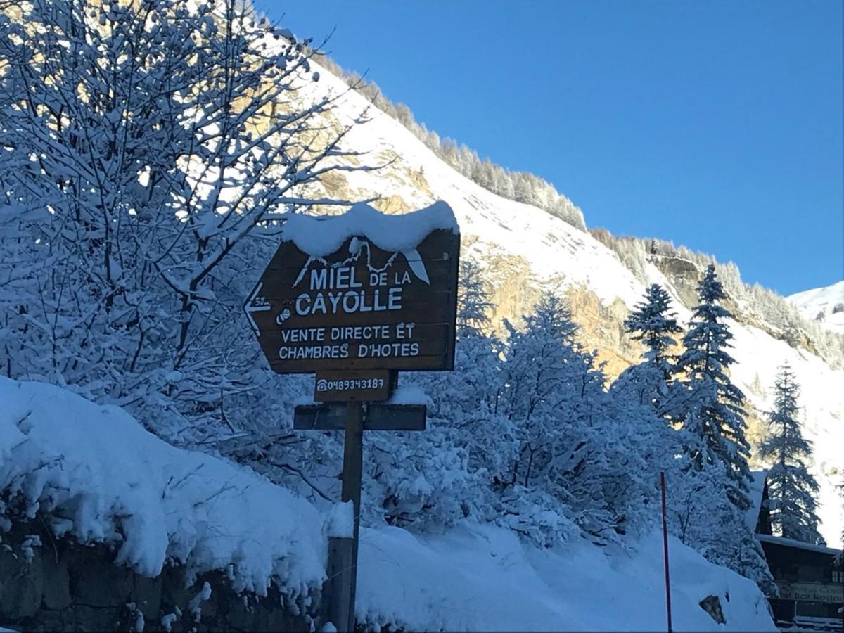 Chalet Miel De La Cayolle-Estenc Entraunes Dış mekan fotoğraf