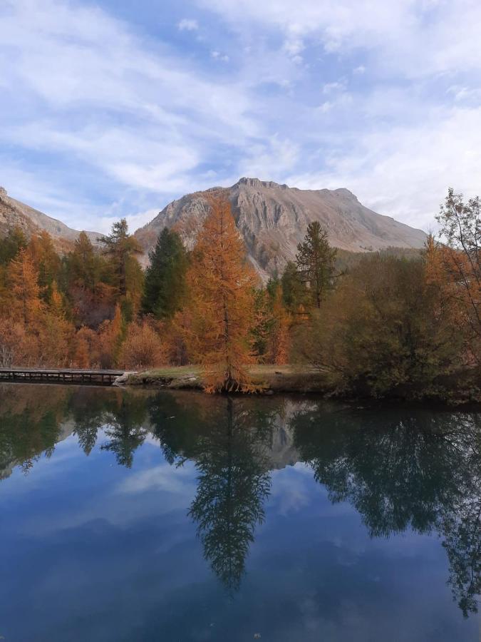 Chalet Miel De La Cayolle-Estenc Entraunes Dış mekan fotoğraf